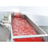 Fruit and Vegetable Brush Washing and Peeling Machine