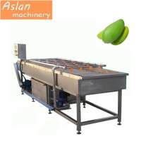 Brush Roller Fruit Washing Machine|Fresh Mango Cleaning Machine