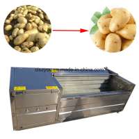 Brush Vegetable Fruit Washing Peeling Processing Machine